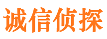 乡城市婚姻出轨调查